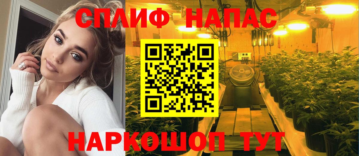 Бошки Шишки конопля  Вход с VPN  Бошки Шишки SATIVA & INDICA  Бошки марихуана планчик  МАРИХУАНА White Widow  Строитель 